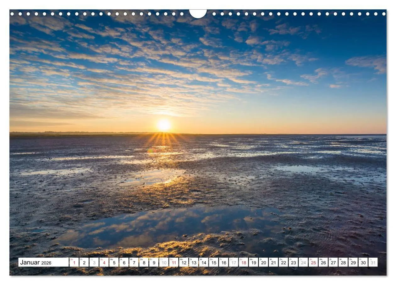 Bild: 9783516008913 | Eiderstedt - Willkommen am Watt (Wandkalender 2026 DIN A3 quer),...