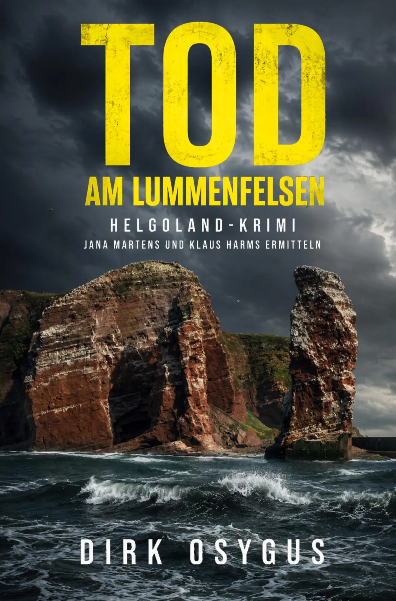 Cover: 9783695688913 | Tod am Lummenfelsen | Helogland-Krimi | Dirk Osygus | Taschenbuch