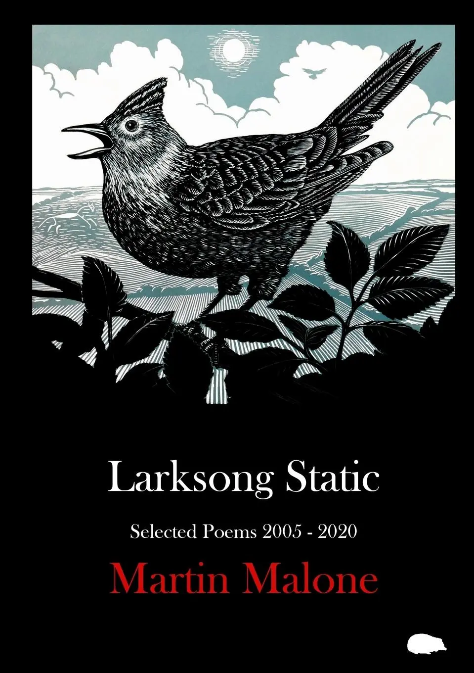 Cover: 9781913499013 | Larksong Static: Selected Poems 2005-2020 | Martin Malone | Buch