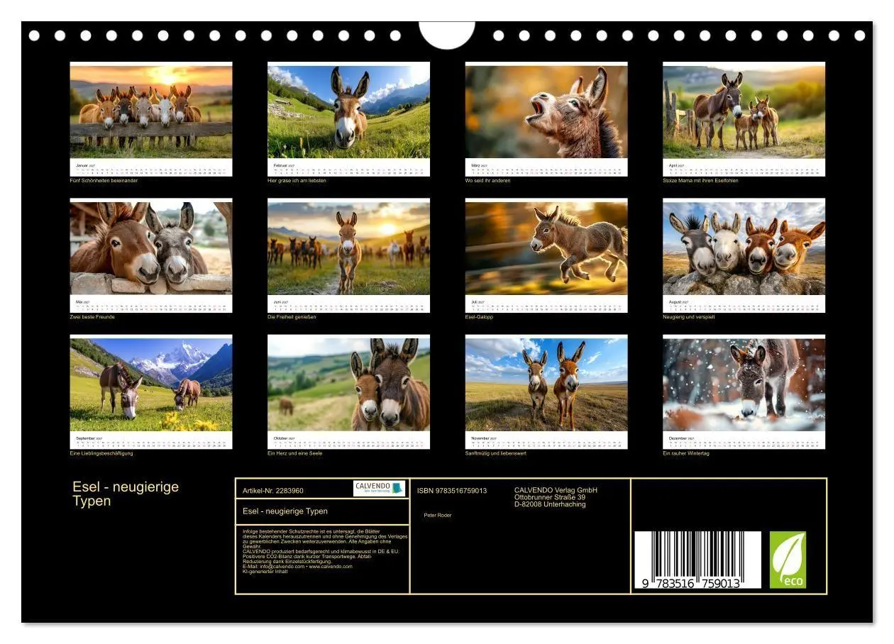 Bild: 9783516759013 | Esel - neugierige Typen (Wandkalender 2027 DIN A4 quer), CALVENDO...