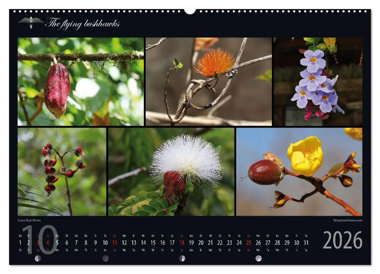 Bild: 9783457279113 | Costa Rica Blickwinkel 2026 (Wandkalender 2026 DIN A2 quer),...