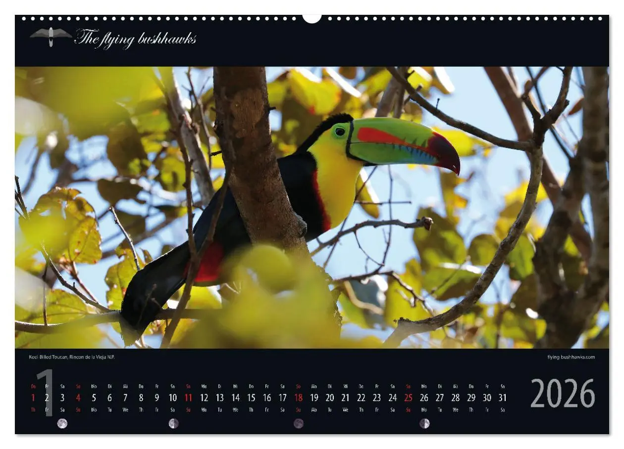 Bild: 9783457279113 | Costa Rica Blickwinkel 2026 (Wandkalender 2026 DIN A2 quer),...