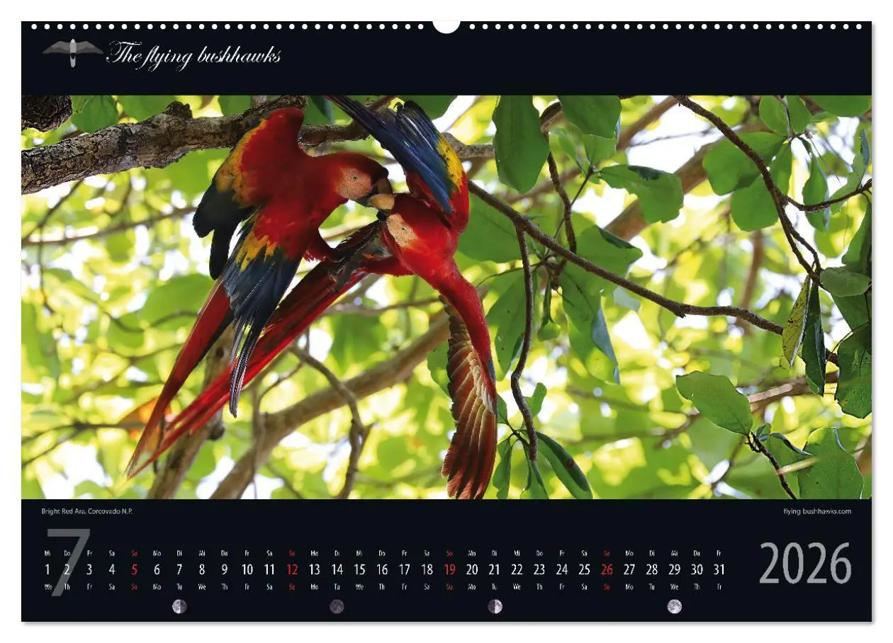 Bild: 9783457279113 | Costa Rica Blickwinkel 2026 (Wandkalender 2026 DIN A2 quer),...