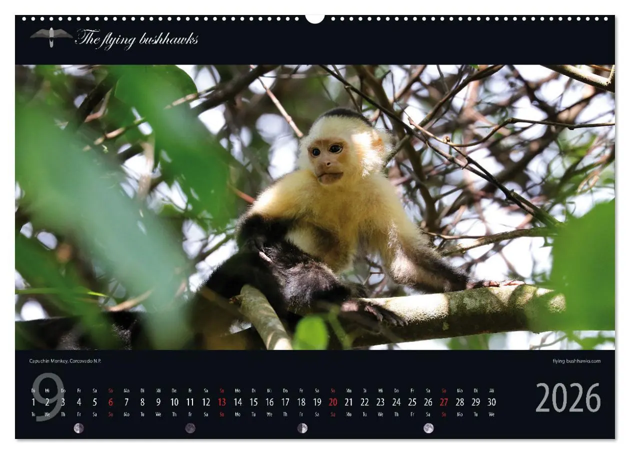 Bild: 9783457279113 | Costa Rica Blickwinkel 2026 (Wandkalender 2026 DIN A2 quer),...