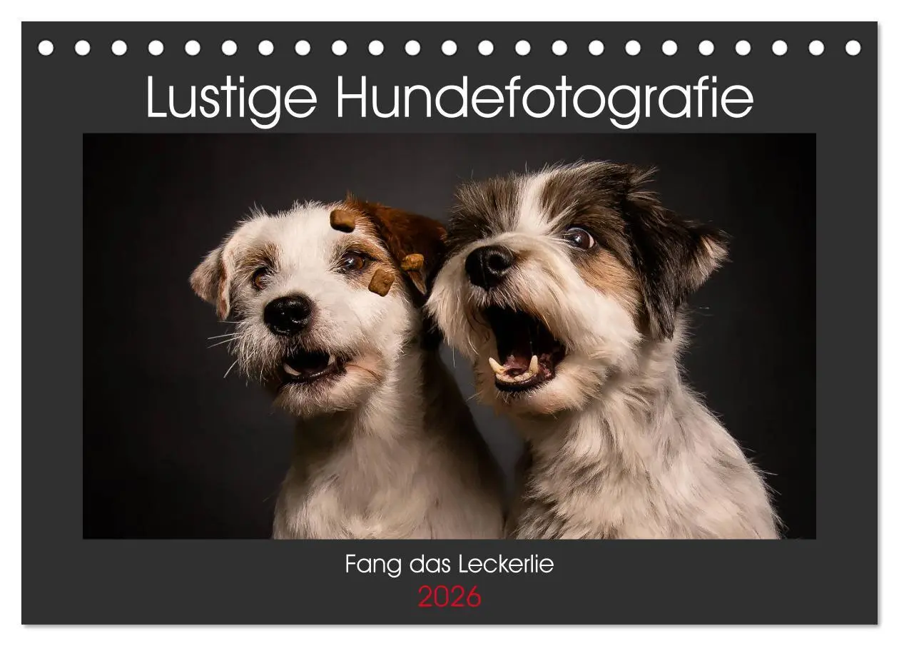 Cover: 9783457729113 | Fang das Leckerlie (Tischkalender 2026 DIN A5 quer), CALVENDO...