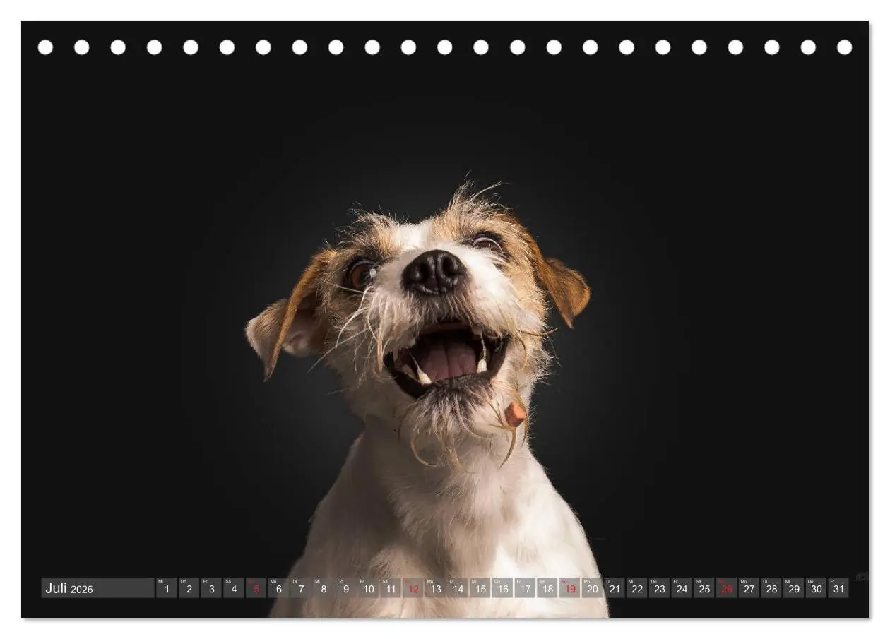 Bild: 9783457729113 | Fang das Leckerlie (Tischkalender 2026 DIN A5 quer), CALVENDO...