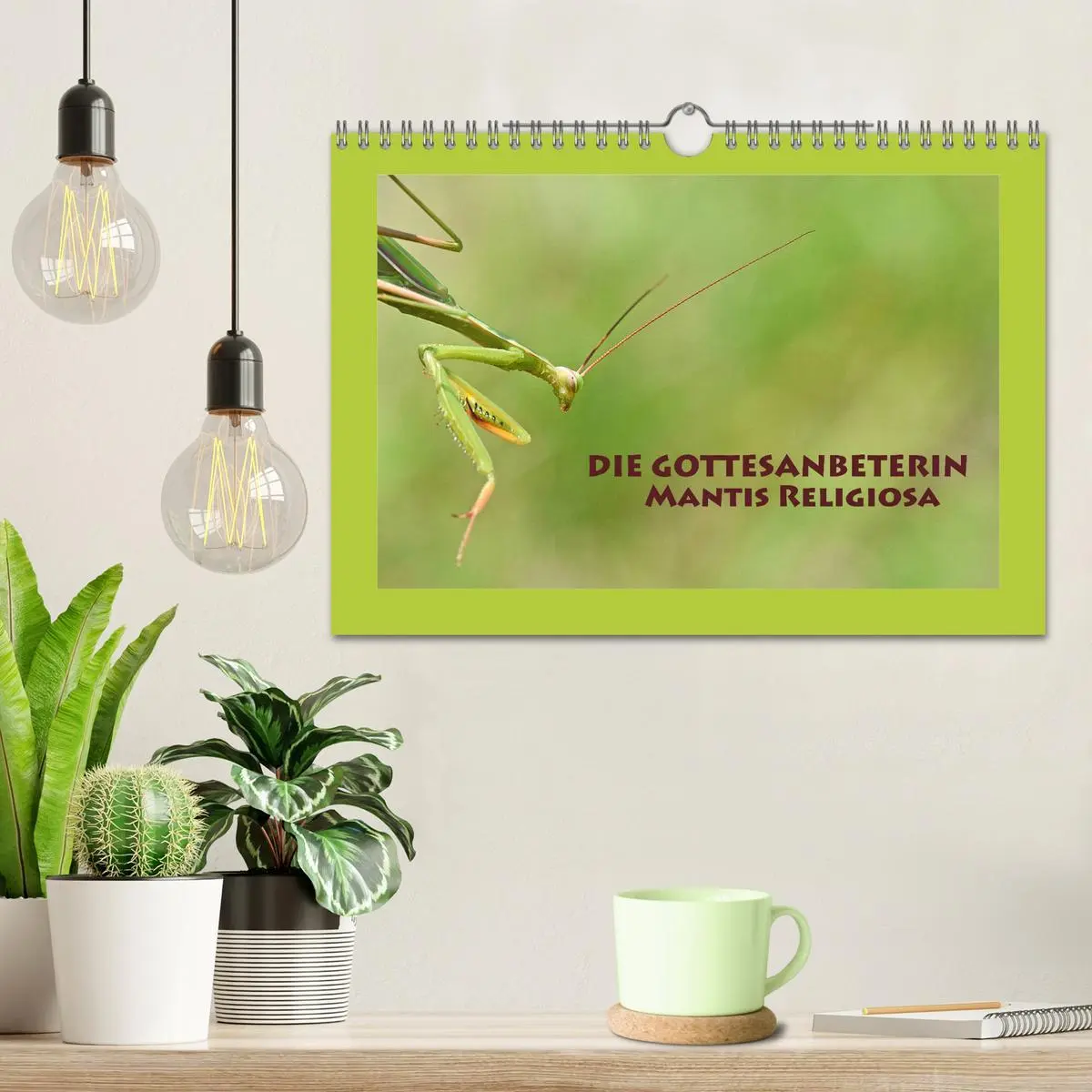 Bild: 9783457719213 | Die Gottesanbeterin Mantis Religiosa (Wandkalender 2026 DIN A4...