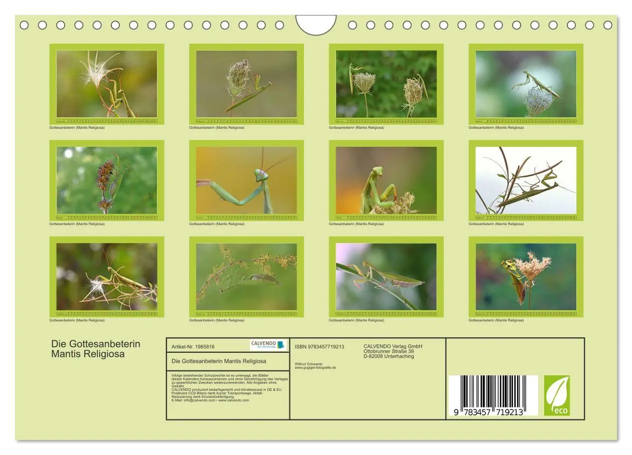 Bild: 9783457719213 | Die Gottesanbeterin Mantis Religiosa (Wandkalender 2026 DIN A4...