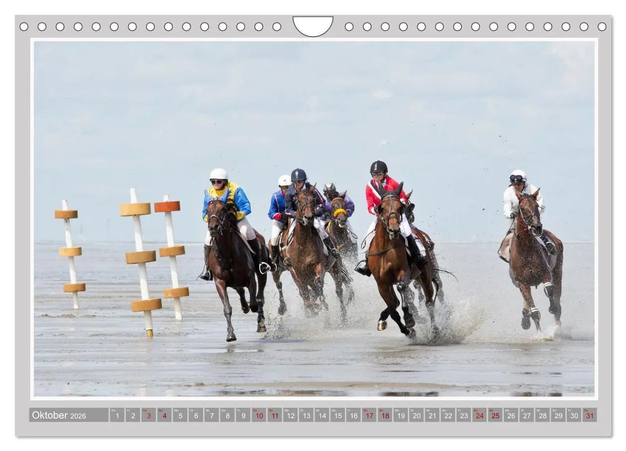 Bild: 9783457639313 | Pferde-Rennen auf Schnee und im Wasser (Wandkalender 2026 DIN A4...