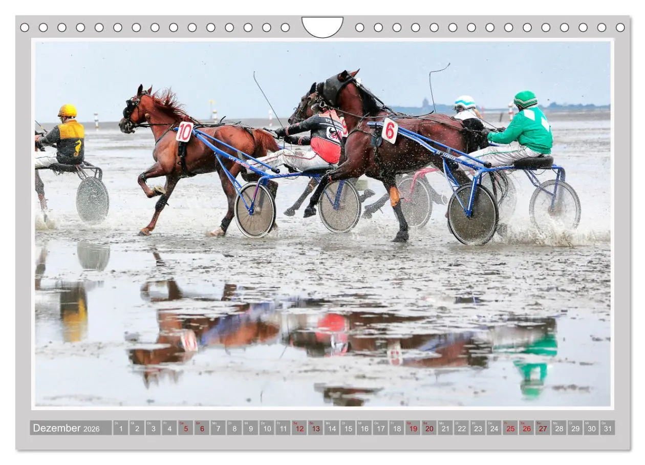 Bild: 9783457639313 | Pferde-Rennen auf Schnee und im Wasser (Wandkalender 2026 DIN A4...