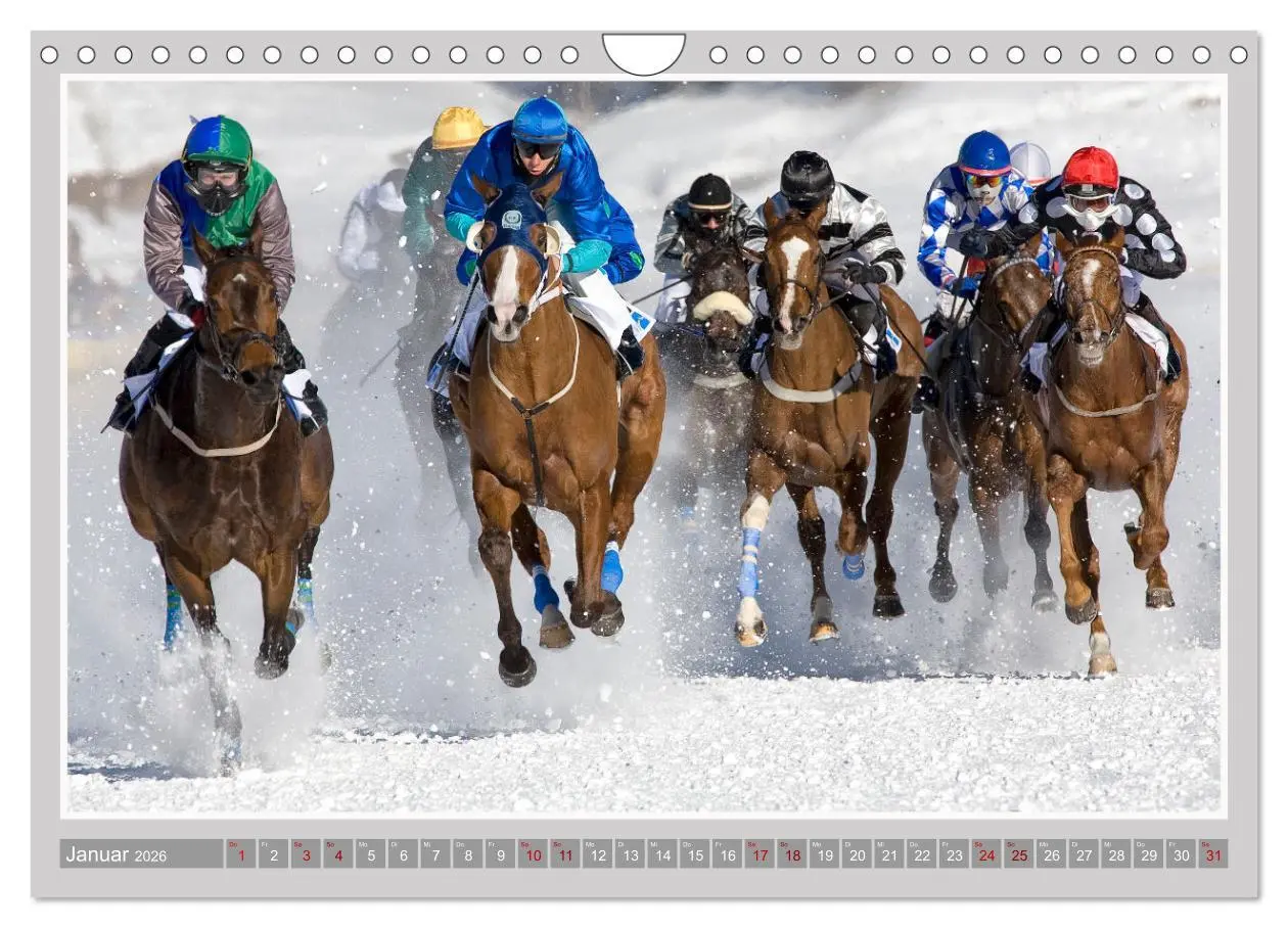 Bild: 9783457639313 | Pferde-Rennen auf Schnee und im Wasser (Wandkalender 2026 DIN A4...