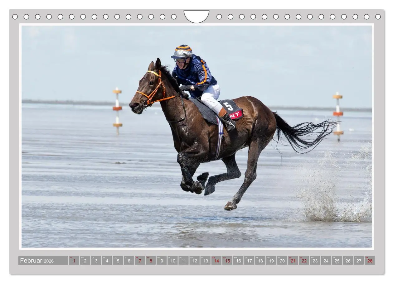Bild: 9783457639313 | Pferde-Rennen auf Schnee und im Wasser (Wandkalender 2026 DIN A4...