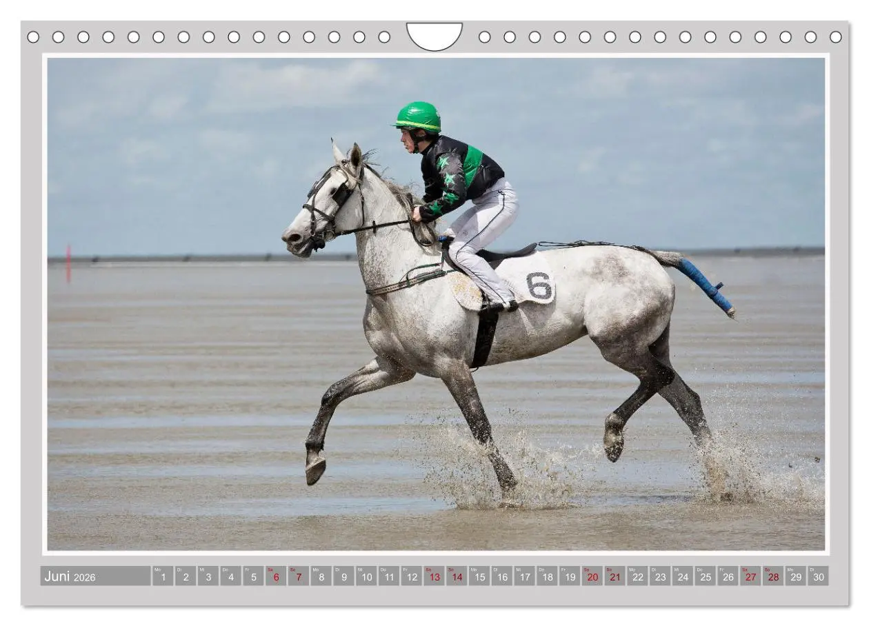 Bild: 9783457639313 | Pferde-Rennen auf Schnee und im Wasser (Wandkalender 2026 DIN A4...