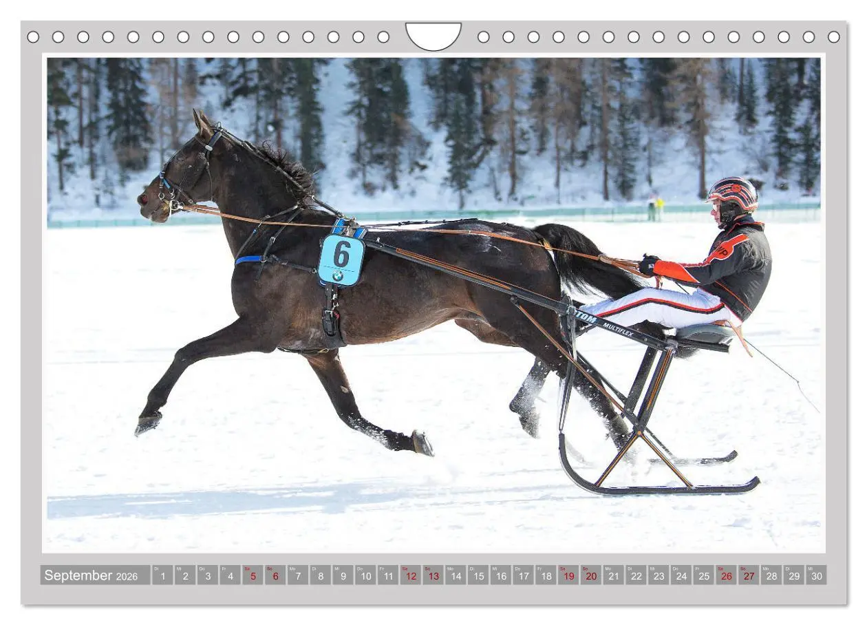 Bild: 9783457639313 | Pferde-Rennen auf Schnee und im Wasser (Wandkalender 2026 DIN A4...