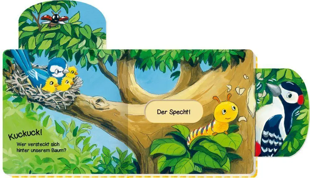 Bild: 9783649629313 | Kuckuck! Wen hörst du hier? | Schieb mal, hör mal! | Antje Flad | Buch