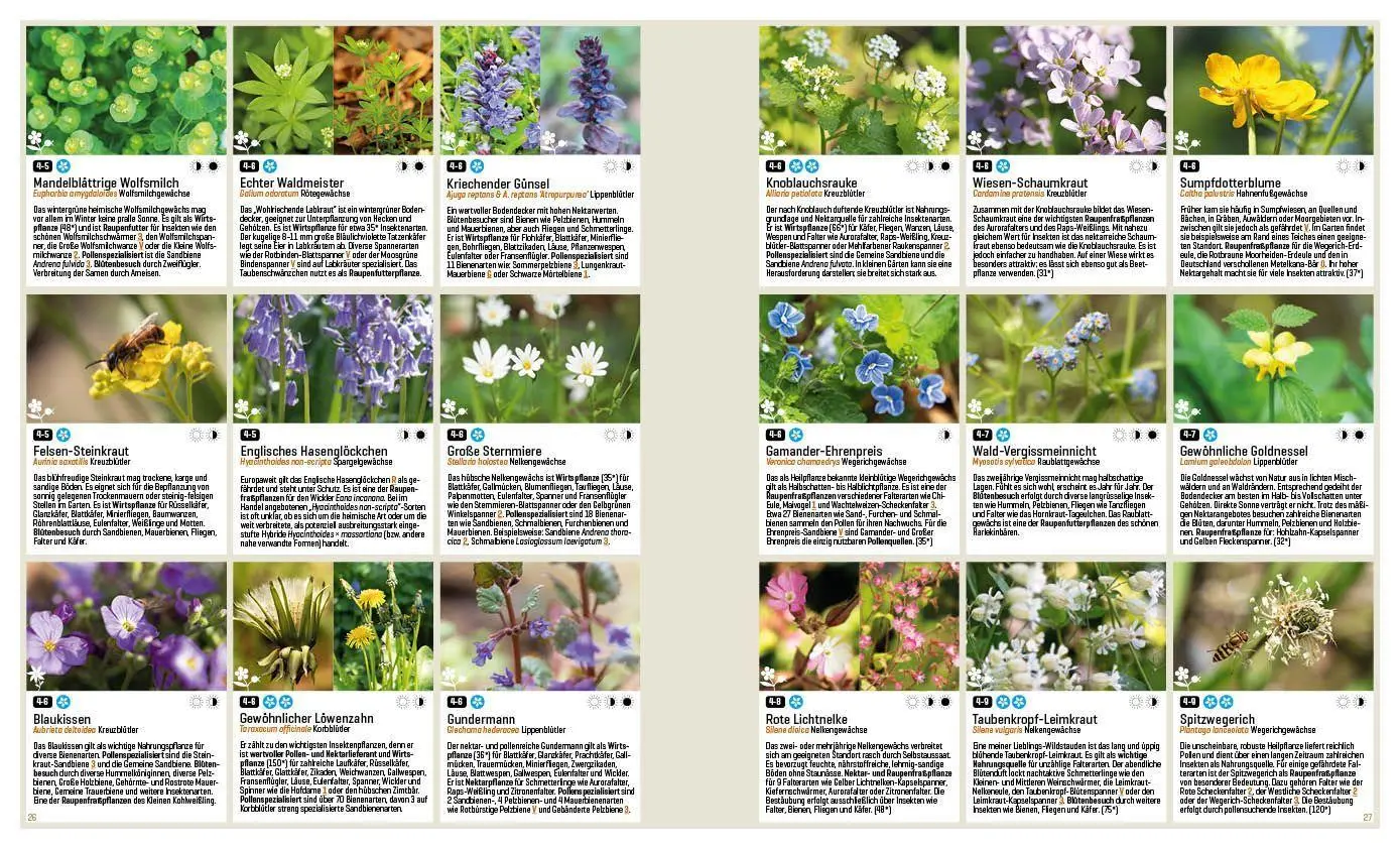 Bild: 9783943969313 | Mein Artenretter Garten | Anja Eder | Buch | 336 S. | Deutsch | 2026