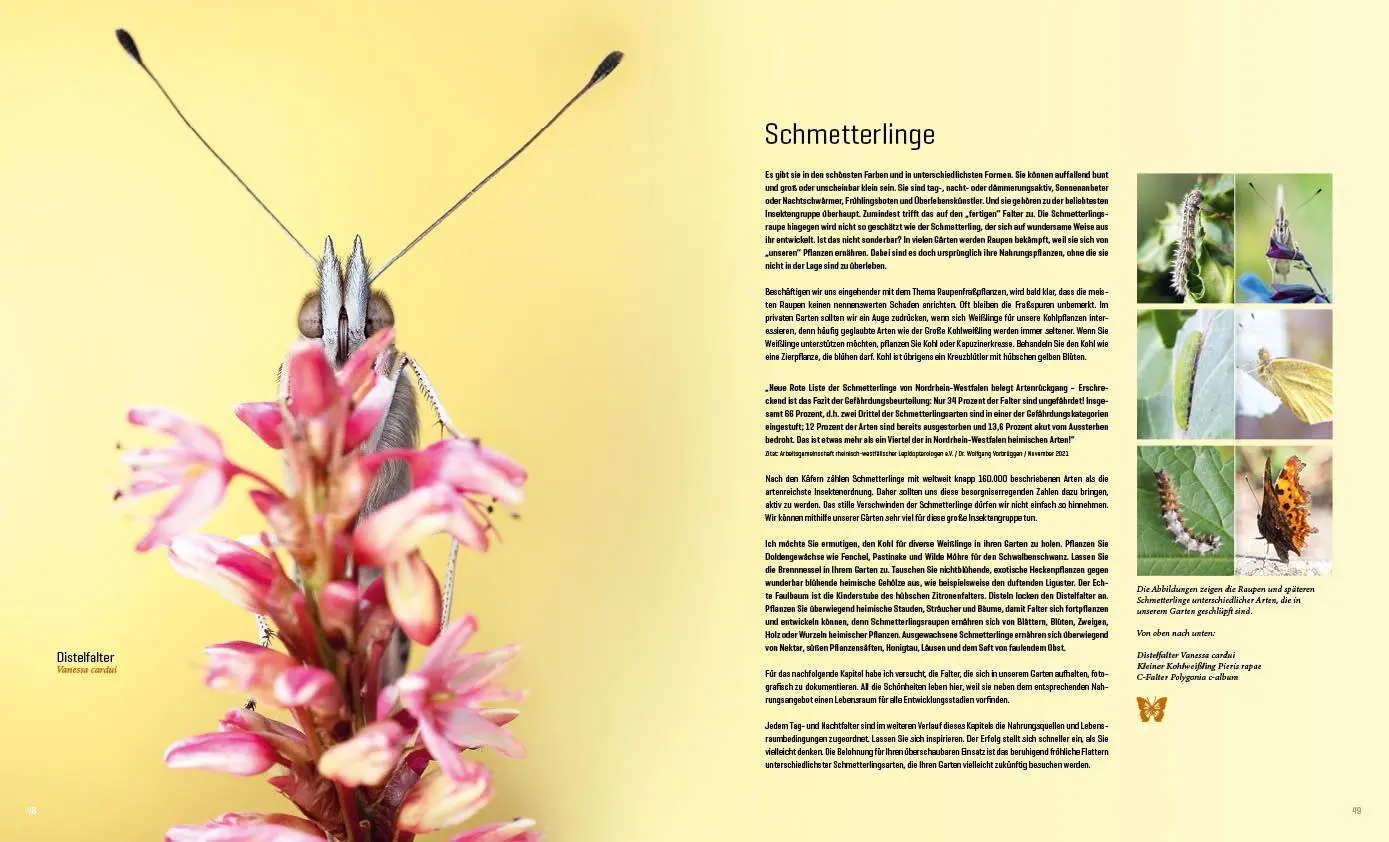 Bild: 9783943969313 | Mein Artenretter Garten | Anja Eder | Buch | 336 S. | Deutsch | 2026