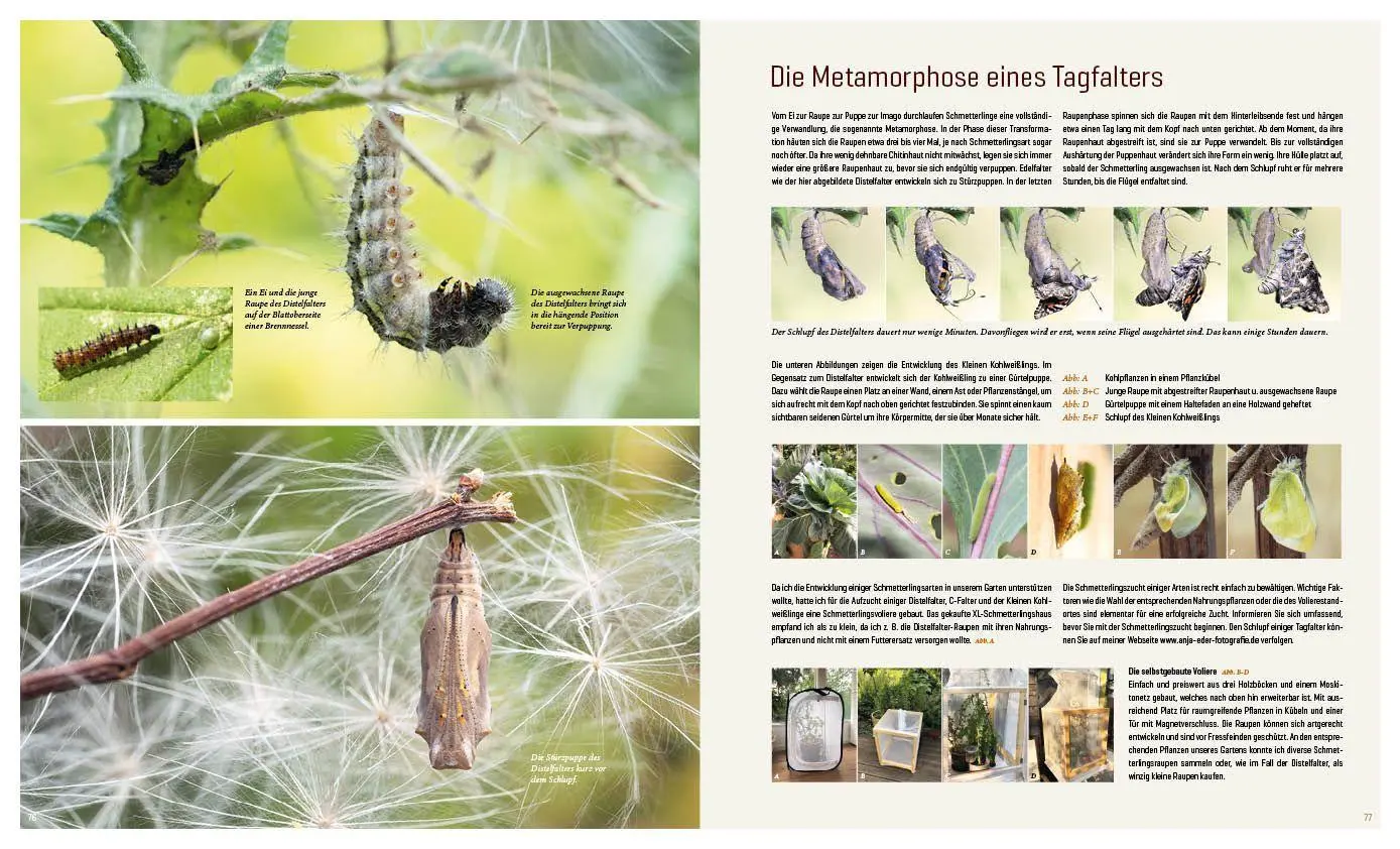 Bild: 9783943969313 | Mein Artenretter Garten | Anja Eder | Buch | 336 S. | Deutsch | 2026