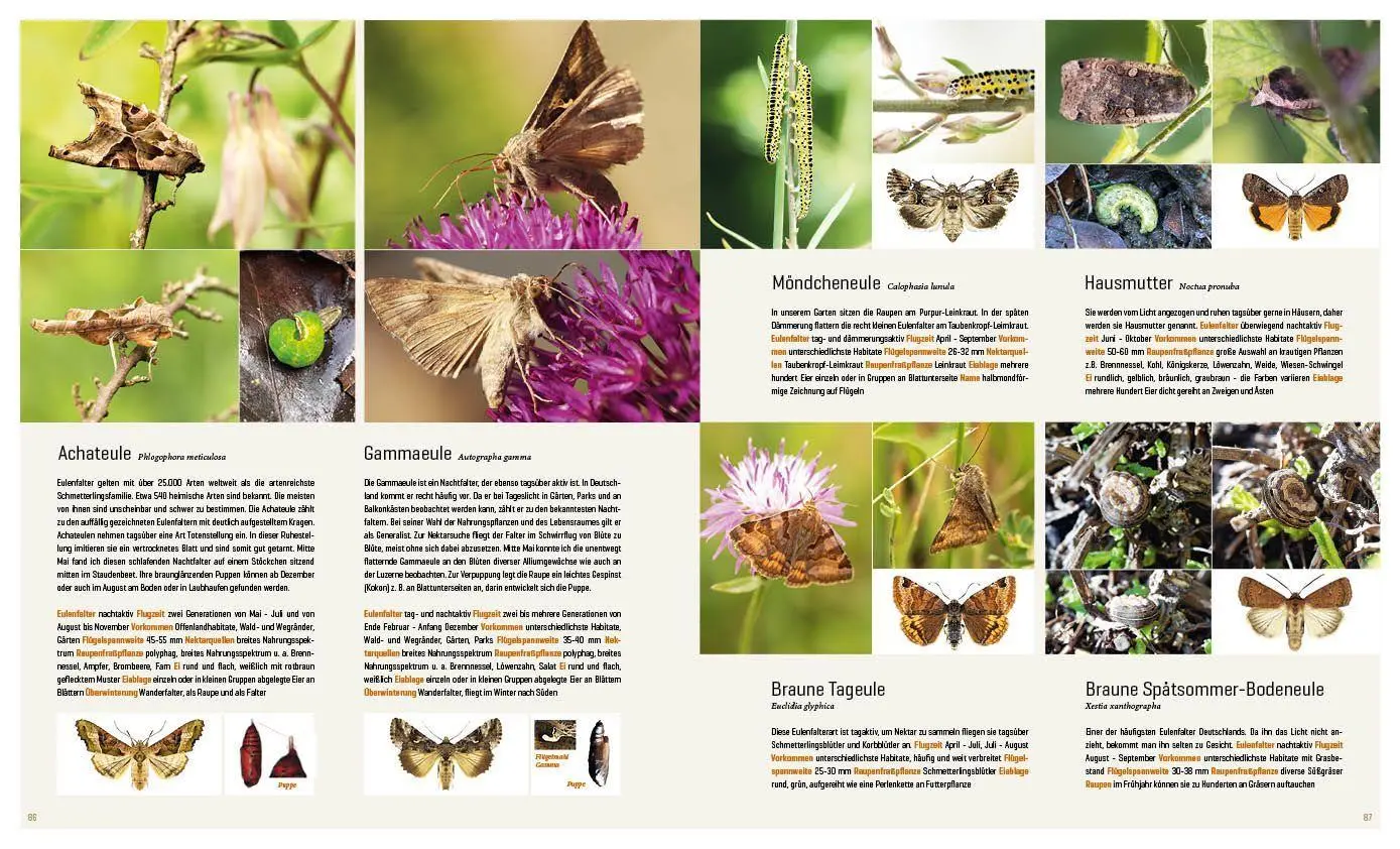 Bild: 9783943969313 | Mein Artenretter Garten | Anja Eder | Buch | 336 S. | Deutsch | 2026