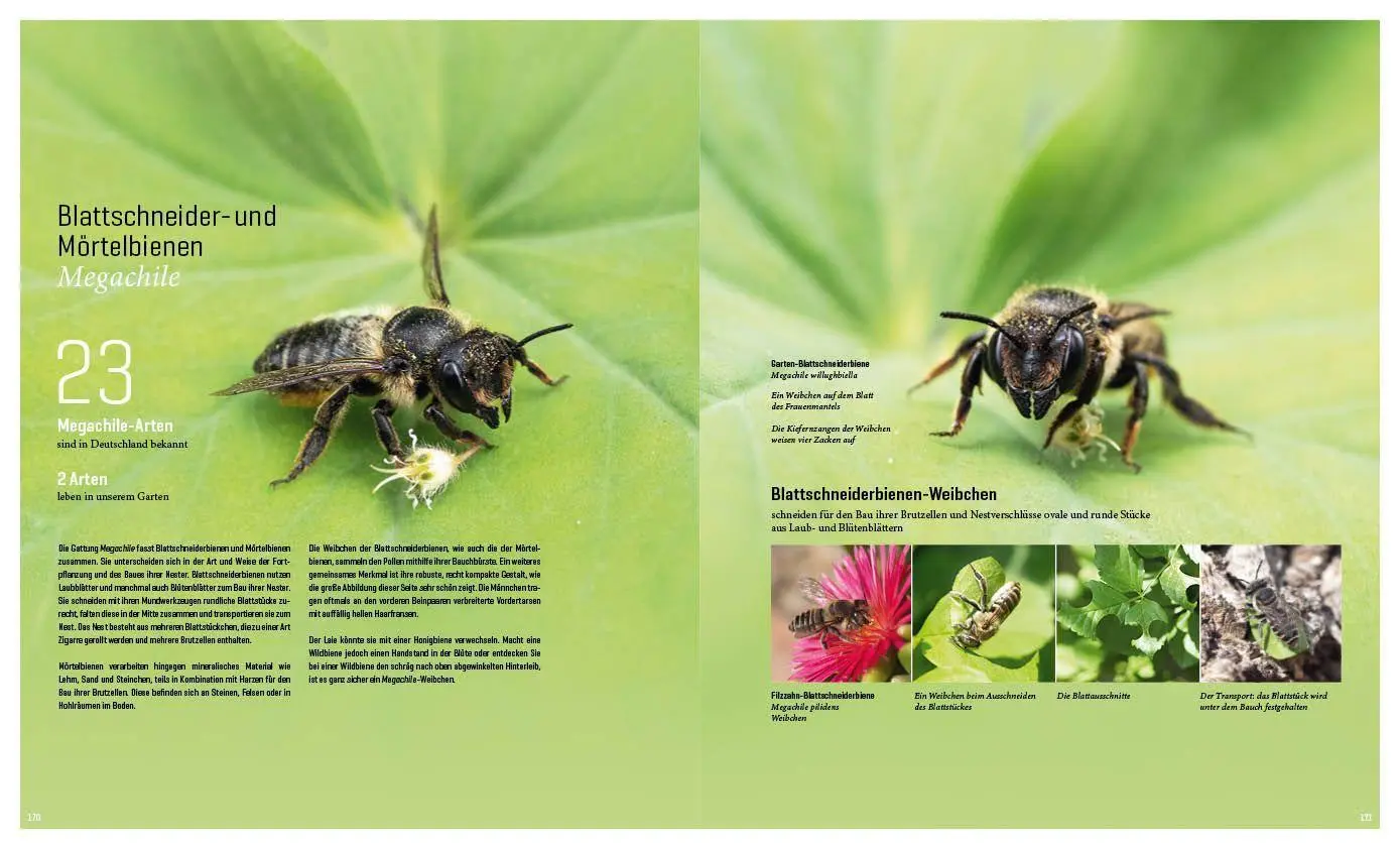 Bild: 9783943969313 | Mein Artenretter Garten | Anja Eder | Buch | 336 S. | Deutsch | 2026