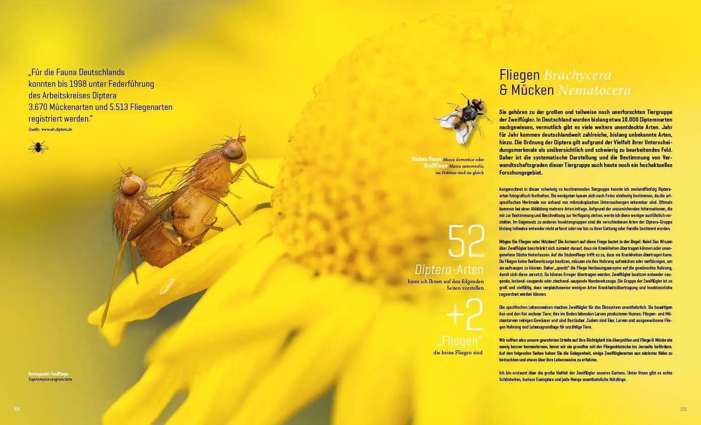Bild: 9783943969313 | Mein Artenretter Garten | Anja Eder | Buch | 336 S. | Deutsch | 2026