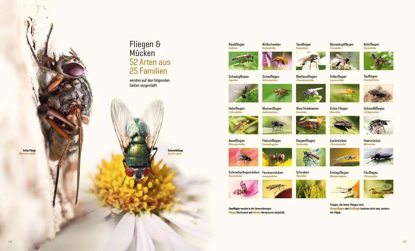 Bild: 9783943969313 | Mein Artenretter Garten | Anja Eder | Buch | 336 S. | Deutsch | 2026