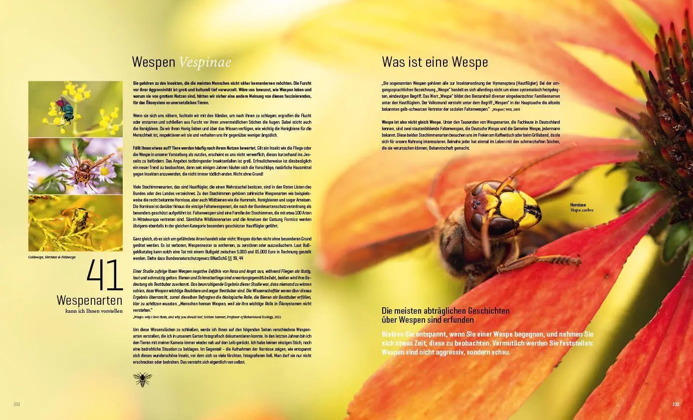 Bild: 9783943969313 | Mein Artenretter Garten | Anja Eder | Buch | 336 S. | Deutsch | 2026