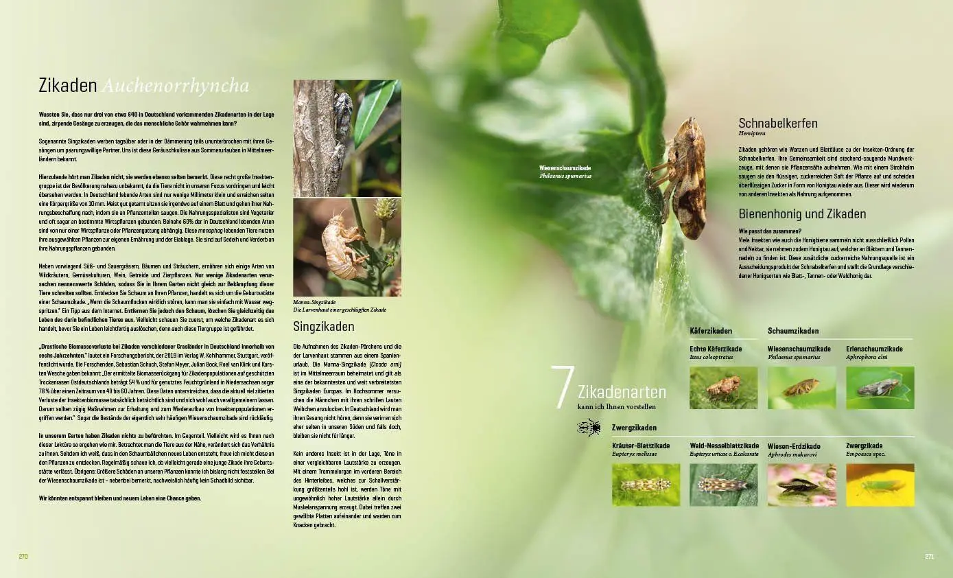 Bild: 9783943969313 | Mein Artenretter Garten | Anja Eder | Buch | 336 S. | Deutsch | 2026