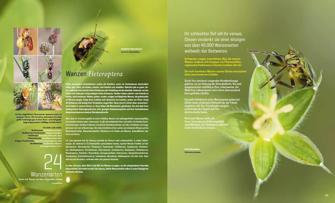 Bild: 9783943969313 | Mein Artenretter Garten | Anja Eder | Buch | 336 S. | Deutsch | 2026