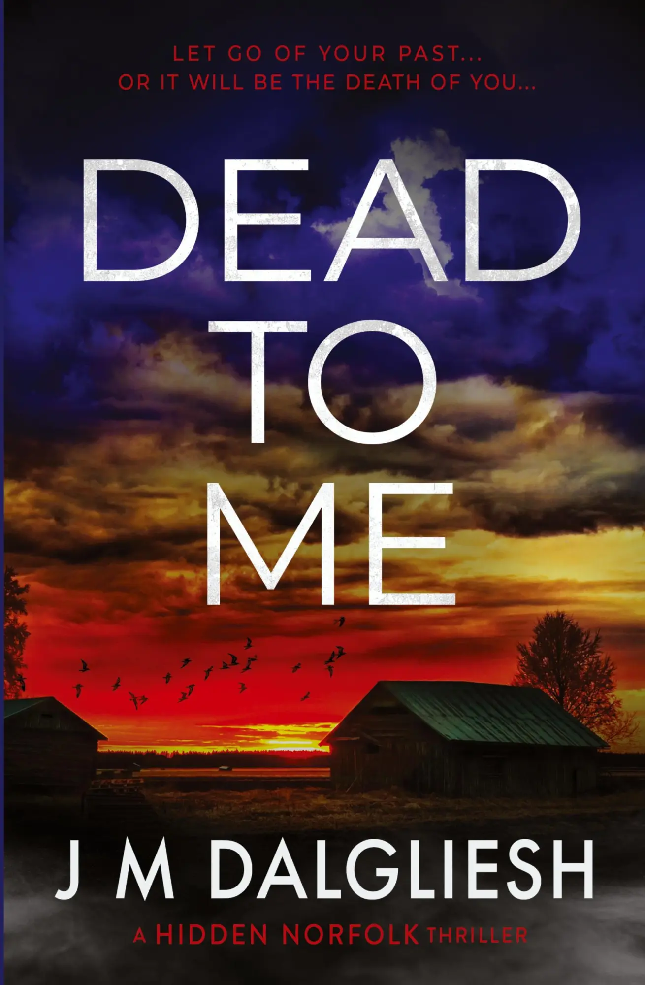 Cover: 9781800809413 | Dead To Me | J M Dalgliesh | Taschenbuch | Englisch | 2023