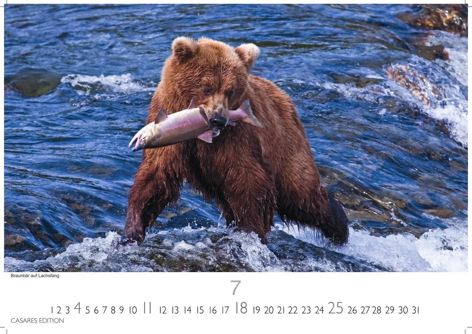 Bild: 9781835249413 | Alaska Kalender 2027 - Wandkalender Fotokalender Nordamerika...
