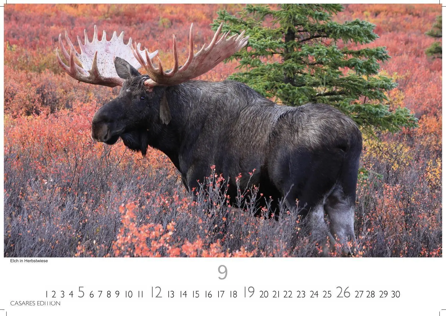 Bild: 9781835249413 | Alaska Kalender 2027 - Wandkalender Fotokalender Nordamerika...