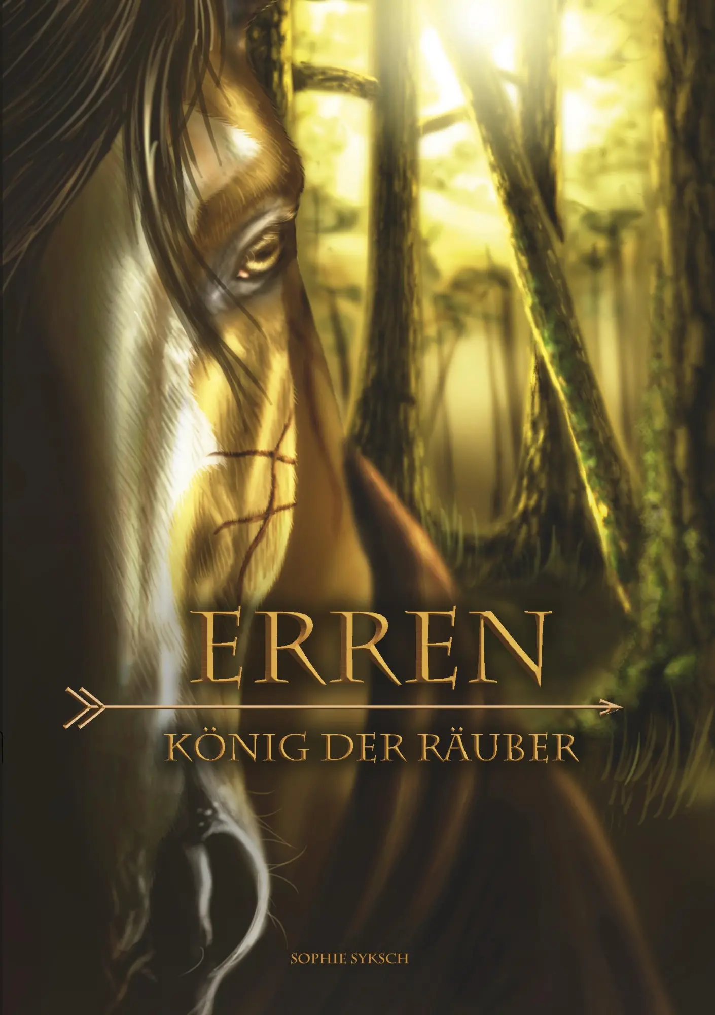 Cover: 9783848229413 | Erren | König der Räuber | Sophie Syksch | Taschenbuch | 200 S. | 2017