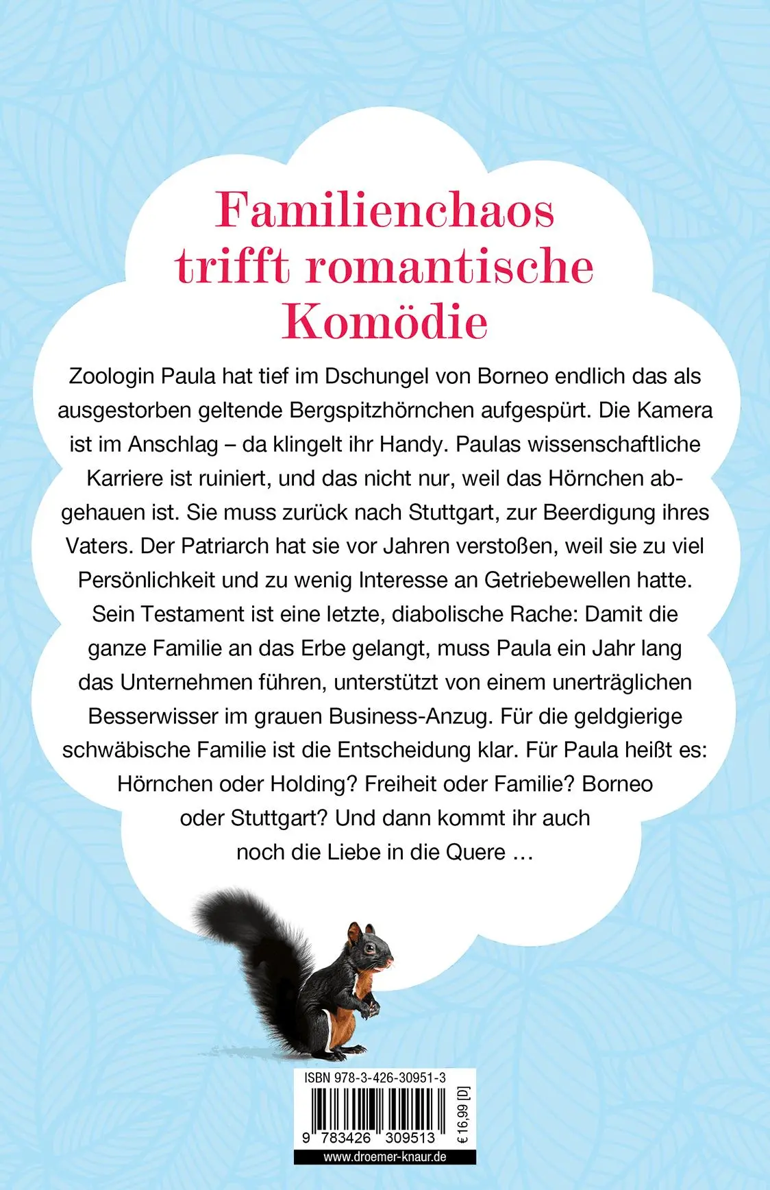 Rückseite: 9783426309513 | Siebzehn schwäbische Verwandte | und trotzdem ein Liebesroman | Buch