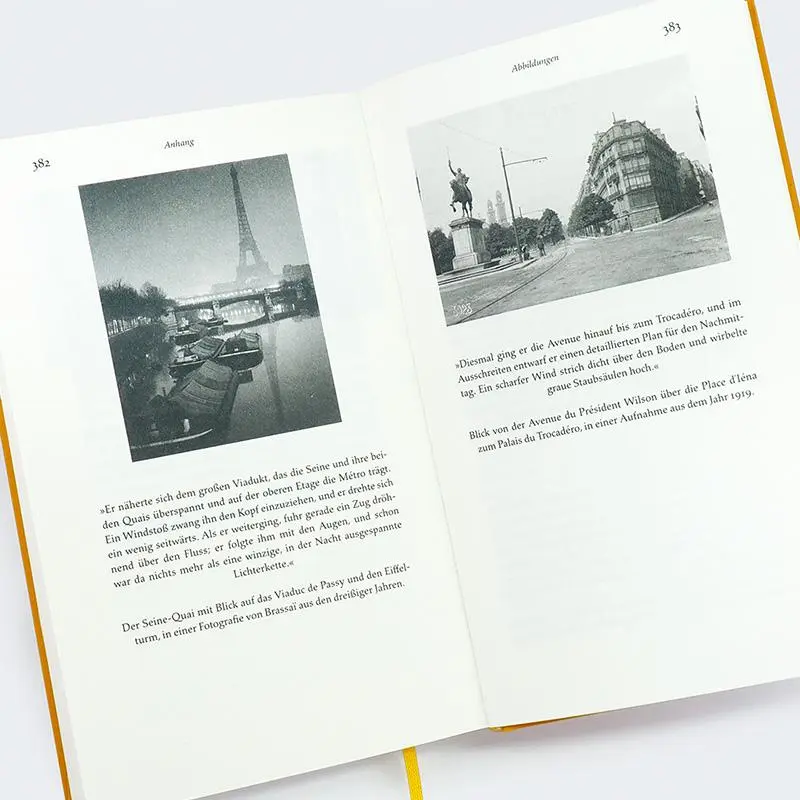 Bild: 9783446279513 | Treibgut | Roman | Julien Green | Buch | 400 S. | Deutsch | 2024