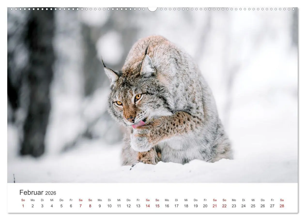 Bild: 9783457549513 | British Columbia - Faszination Kanada (Wandkalender 2026 DIN A2...