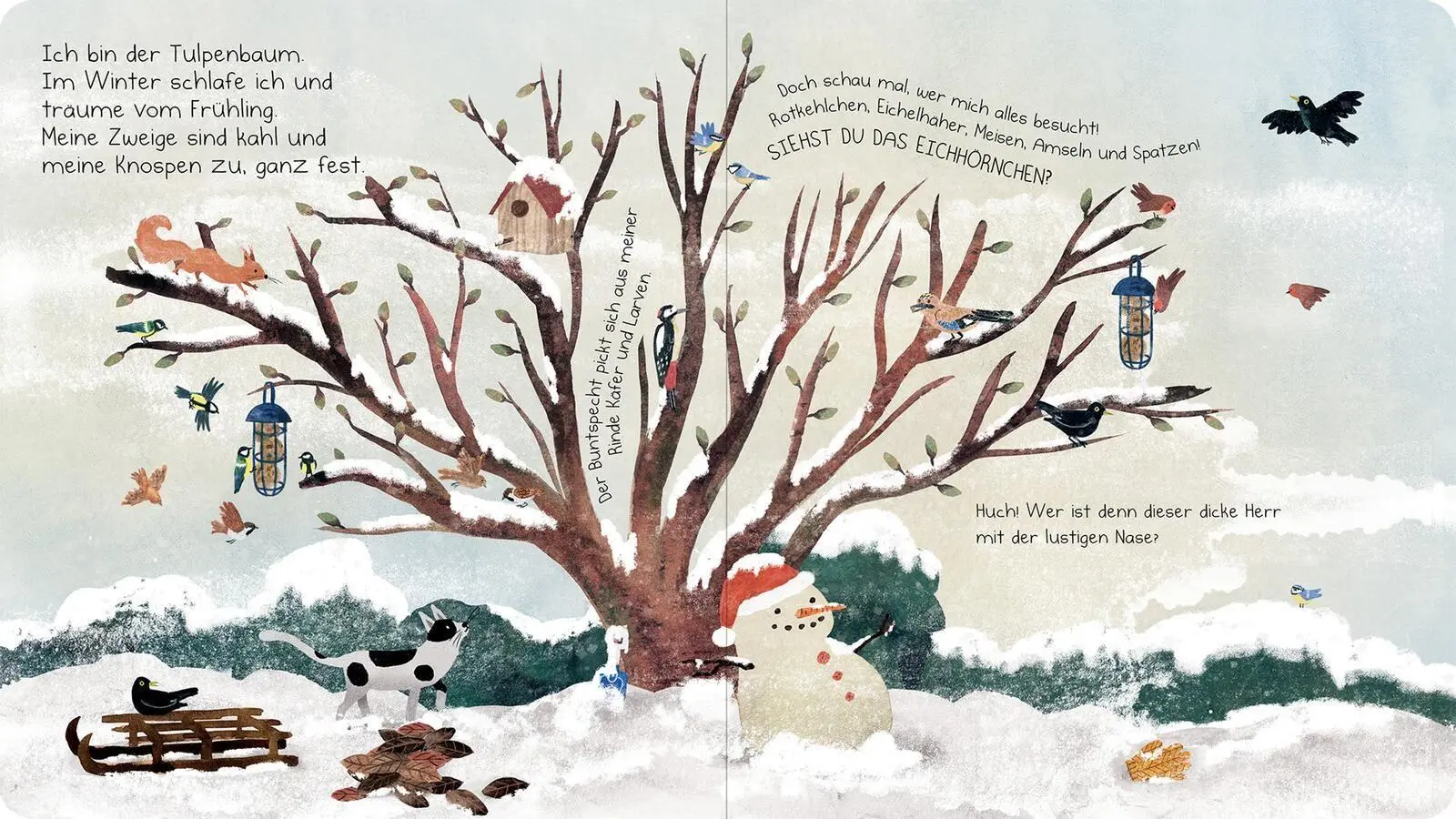 Bild: 9783845869513 | Das Nest in meinen Zweigen | Ein Baum erzählt | Anna Taube | Buch