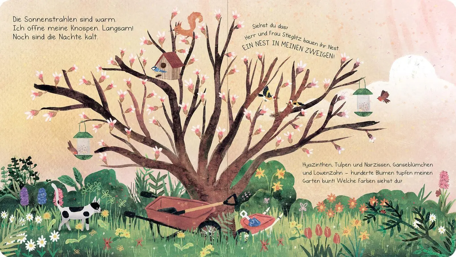 Bild: 9783845869513 | Das Nest in meinen Zweigen | Ein Baum erzählt | Anna Taube | Buch