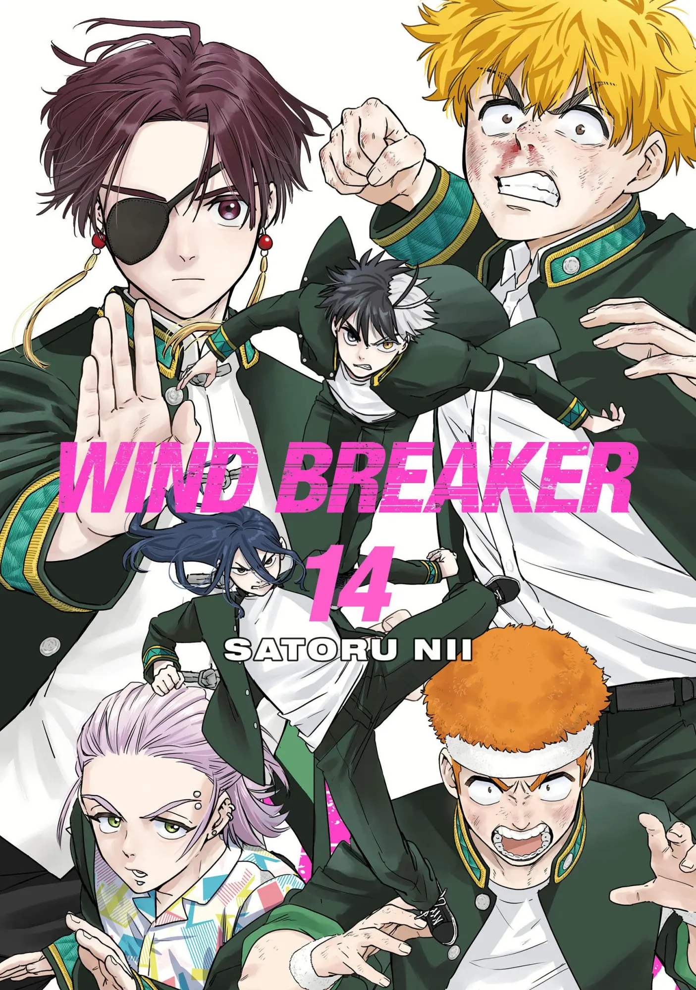 Cover: 9781646519613 | WIND BREAKER 14 | Satoru Nii | Taschenbuch | WIND BREAKER | Englisch