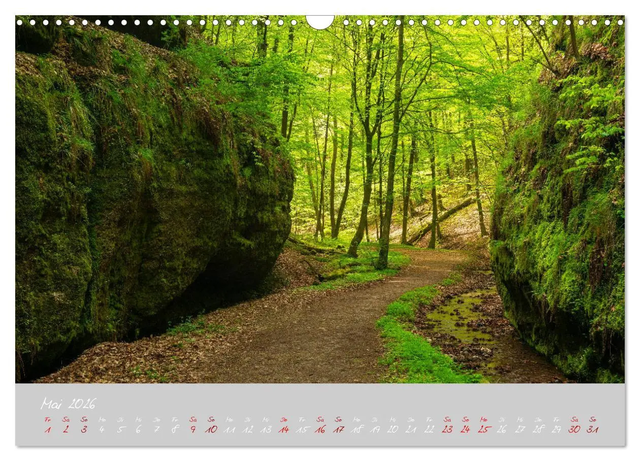 Bild: 9783457769713 | Thüringer Wald Das Grüne Herz Deutschlands (Wandkalender 2026 DIN...