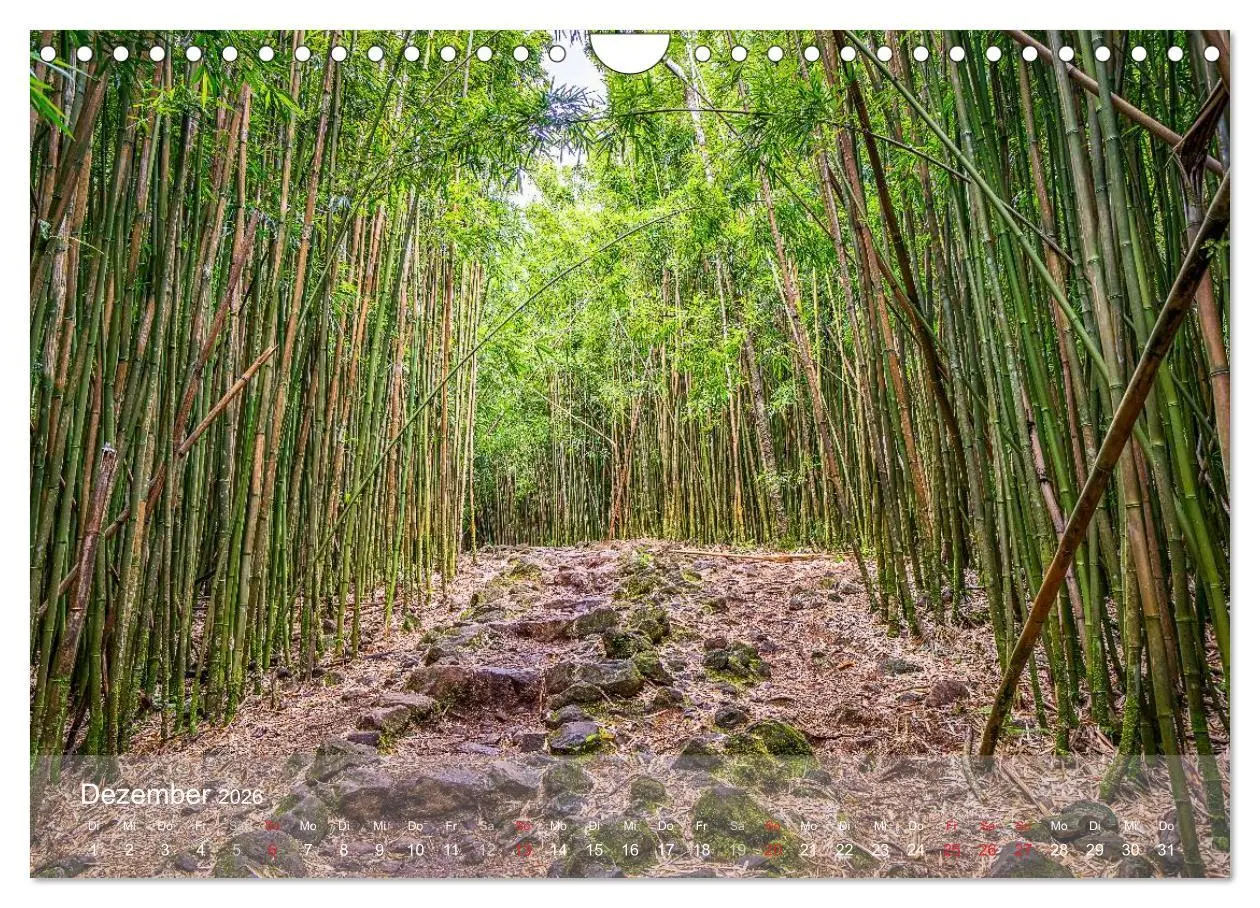 Bild: 9783457909713 | Hawaii - Maui Trauminsel im Pazifik (Wandkalender 2026 DIN A4...