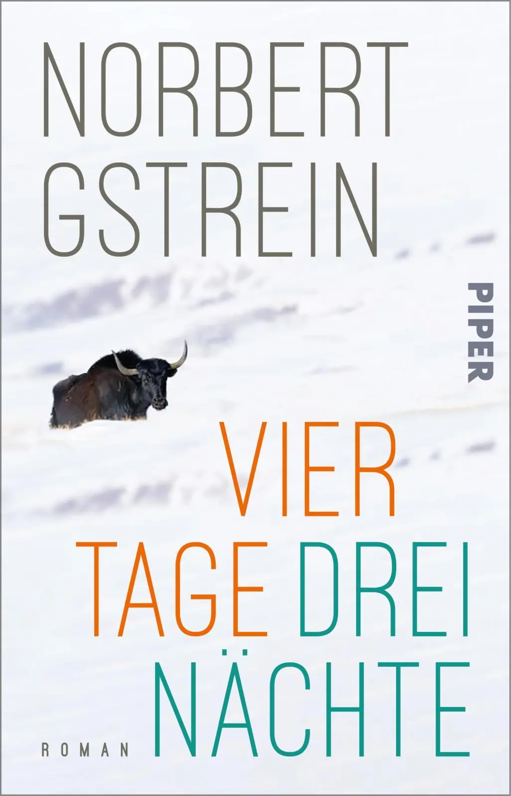 Cover: 9783492319713 | Vier Tage, drei Nächte | Ein Kammerspiel über Rassismus und Misogynie