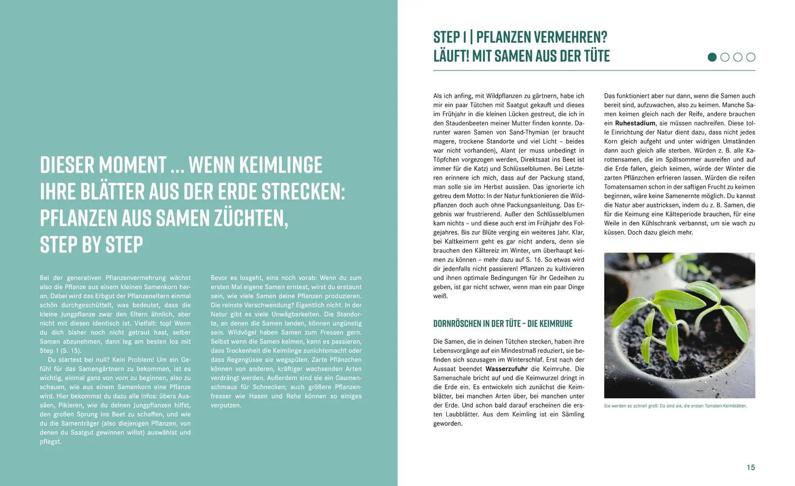 Bild: 9783706629713 | Pflanzen-Lovestory | Janet Glausch | Buch | 216 S. | Deutsch | 2023