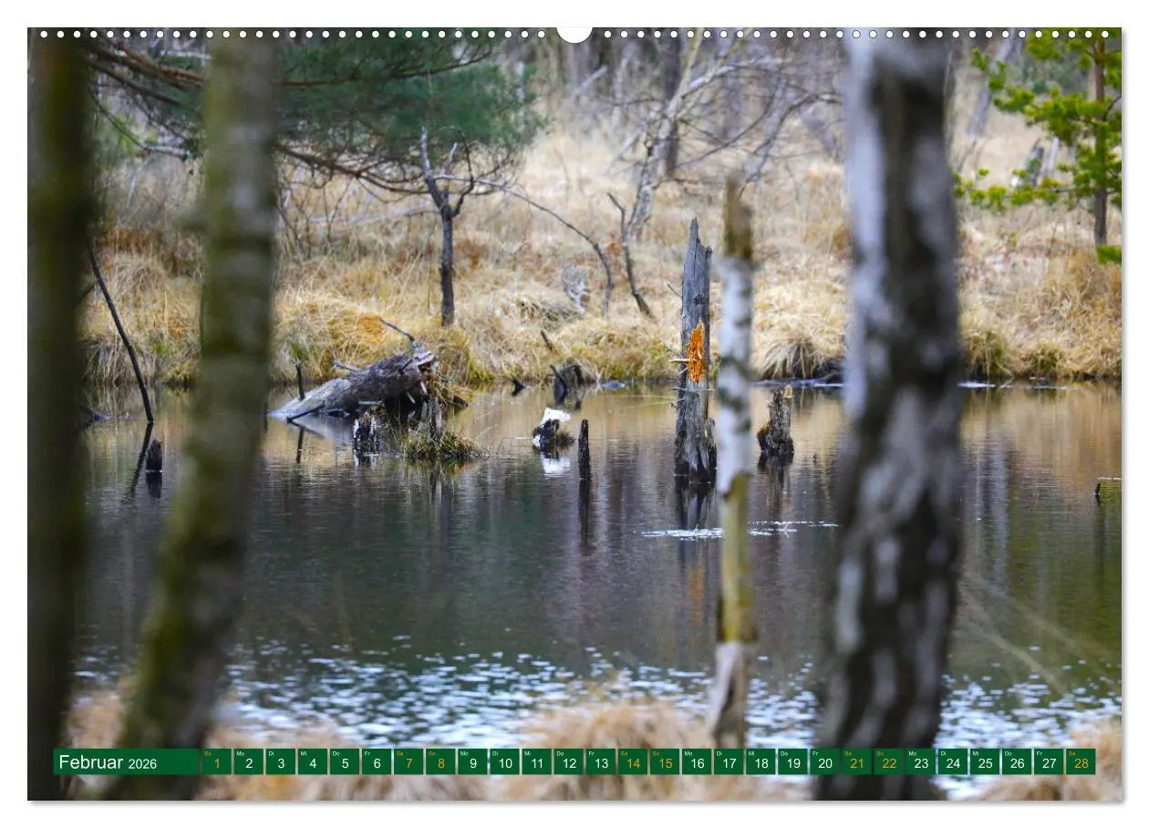Bild: 9783457449813 | Der Loben. Im Reich der Moorgeister und Kreuzottern-...