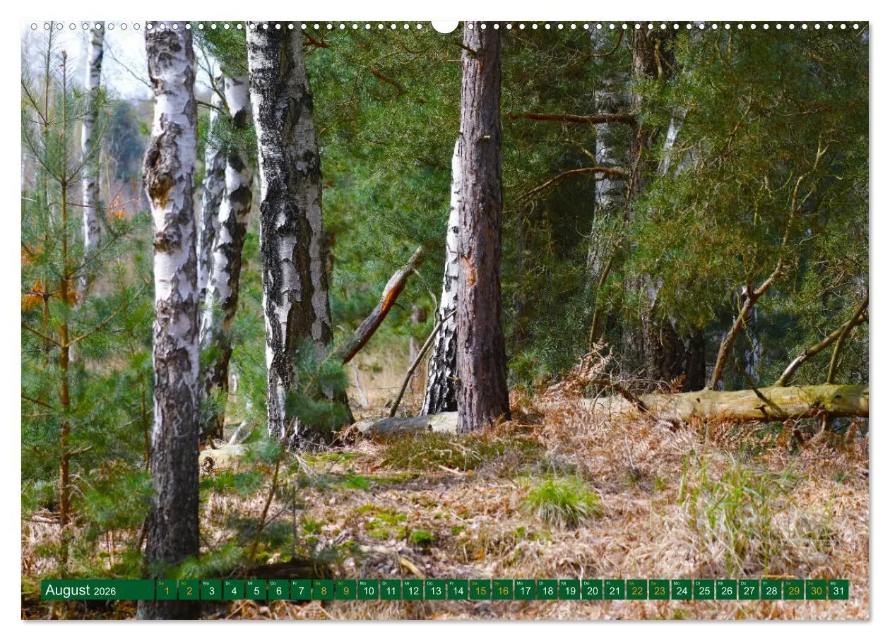 Bild: 9783457449813 | Der Loben. Im Reich der Moorgeister und Kreuzottern-...