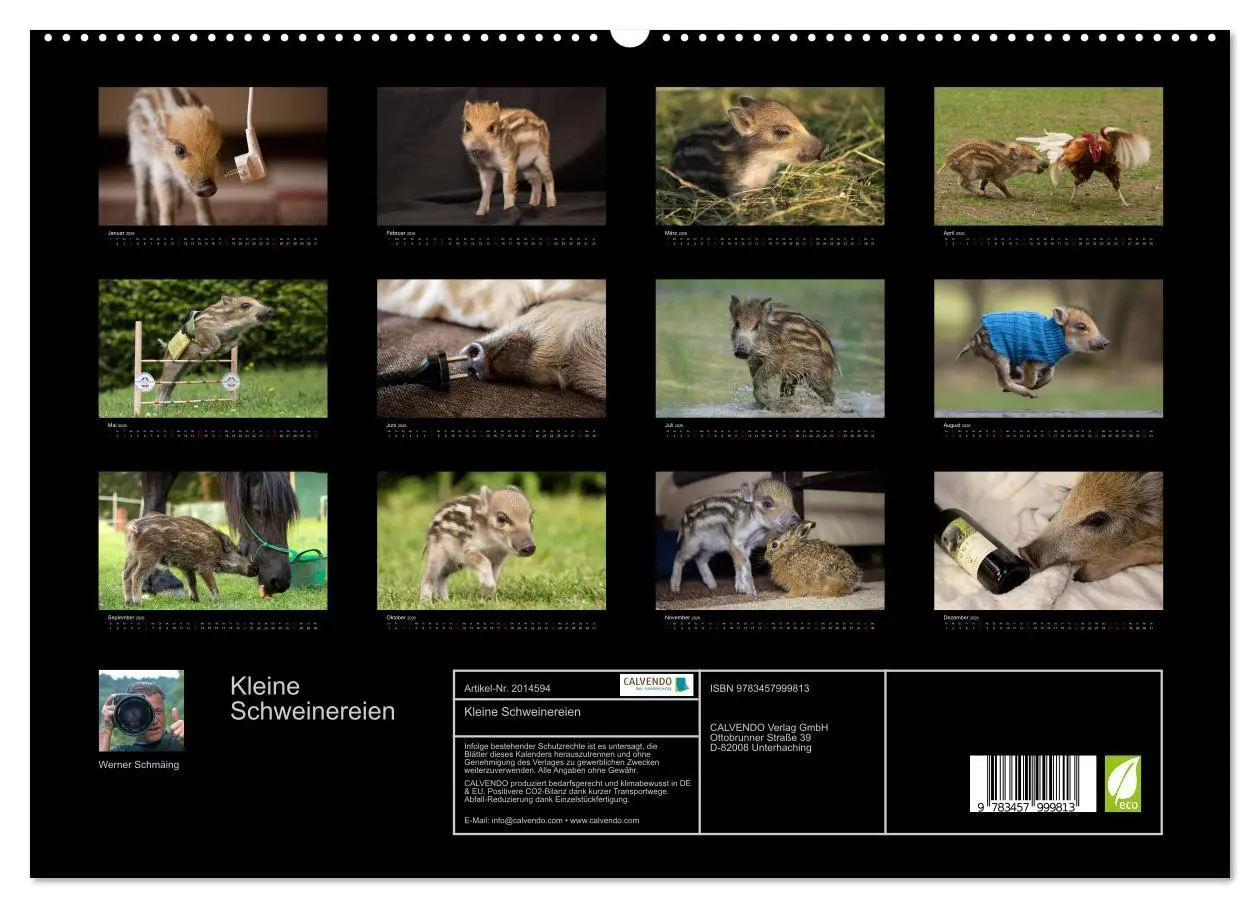 Bild: 9783457999813 | Kleine Schweinereien (hochwertiger Premium Wandkalender 2026 DIN A2...