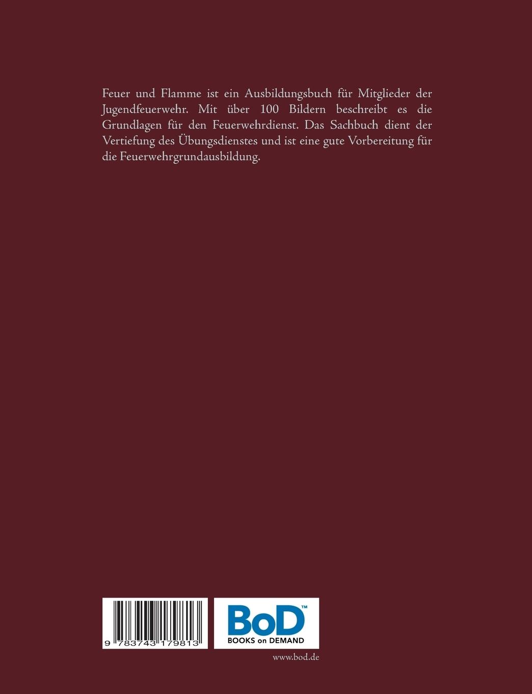 Rückseite: 9783743179813 | Feuer und Flamme (Jugendversion) | Michael Dohmen | Taschenbuch | 2017