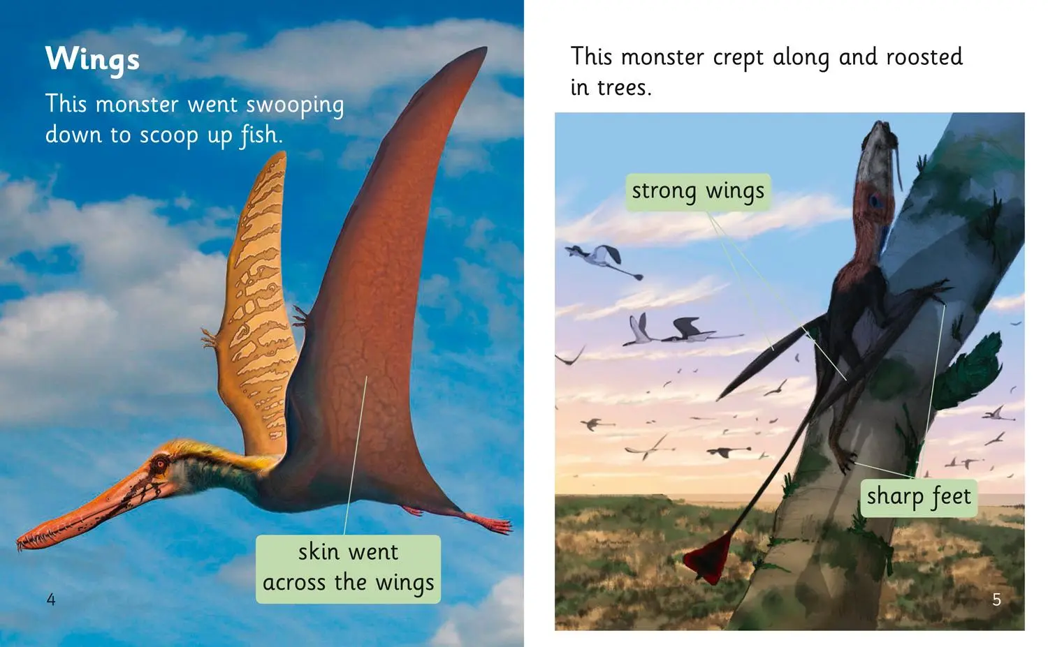 Bild: 9780008409913 | Extinct Monsters | Band 04/Blue | Liz Miles | Taschenbuch | Englisch