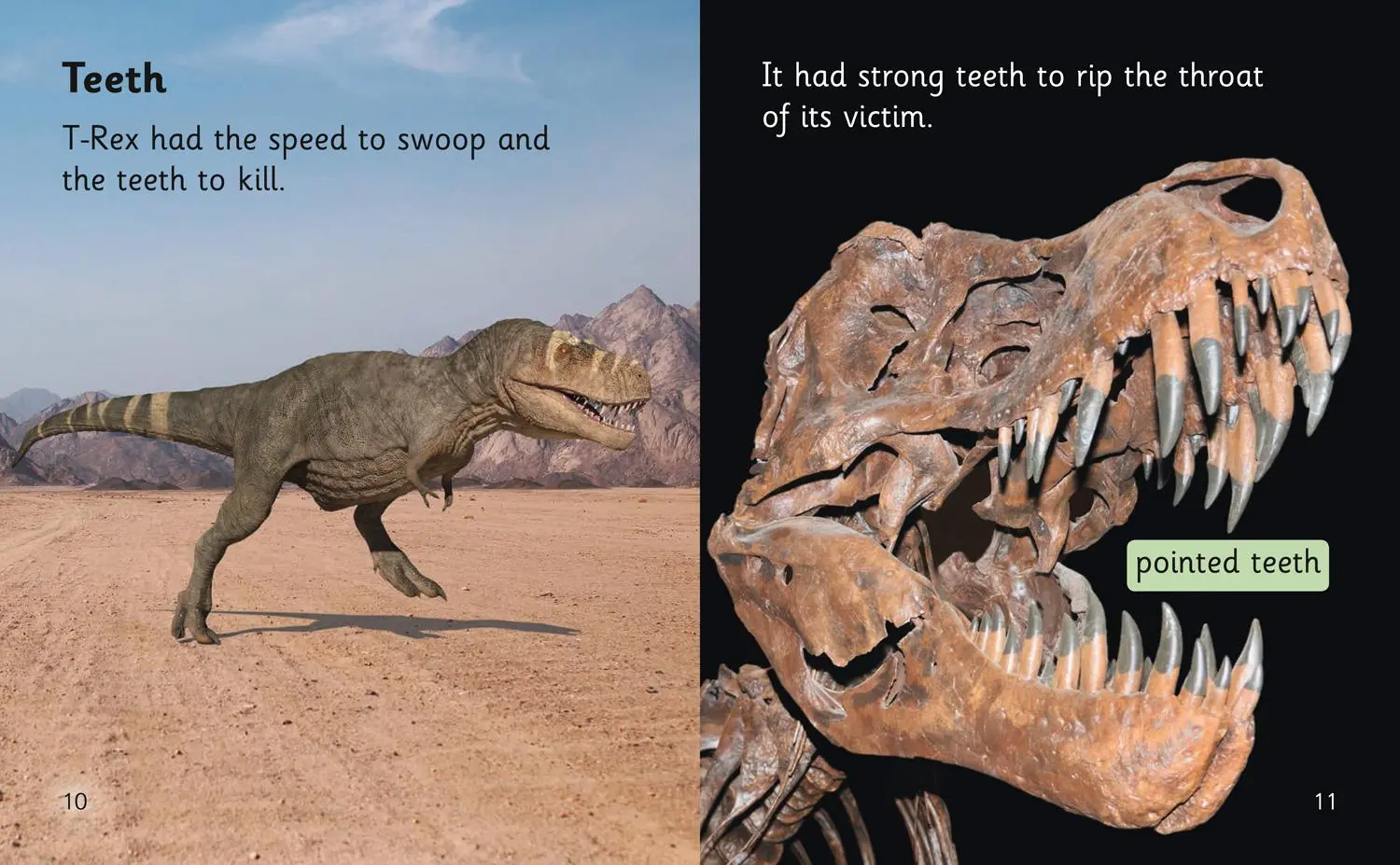 Bild: 9780008409913 | Extinct Monsters | Band 04/Blue | Liz Miles | Taschenbuch | Englisch