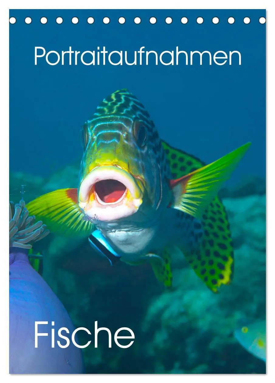 Cover: 9783516389913 | Portraitaufnahmen - Fische (Tischkalender 2026 DIN A5 hoch),...